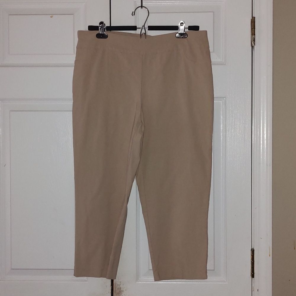 N Touch stretch waist pull on capri cropped casual pants Sz 12 NWOT